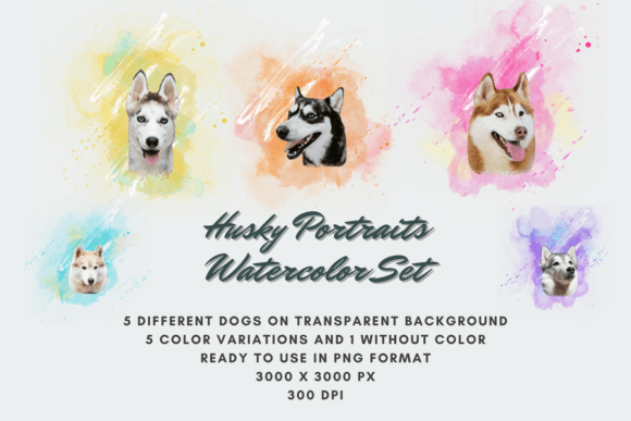 30 Husky Portraits Watercolor Set Dog: A Versatile Digital Asset for Creative Projects
